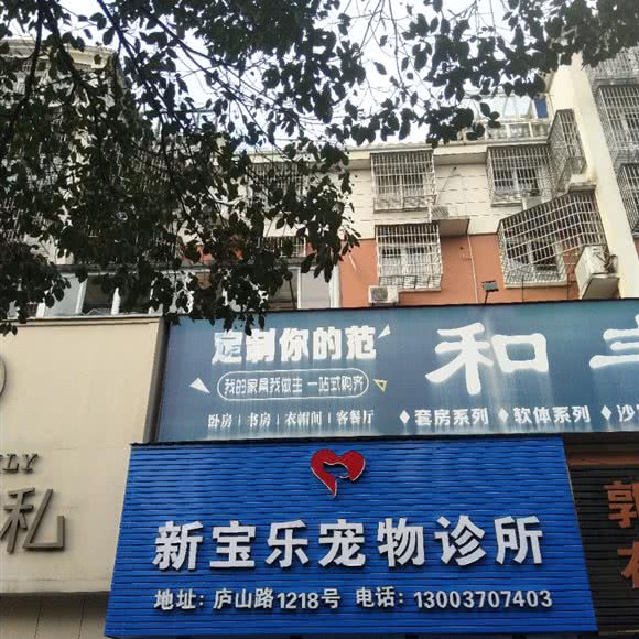 新宝乐宠物诊所:宁波市北仑区宝山路附近