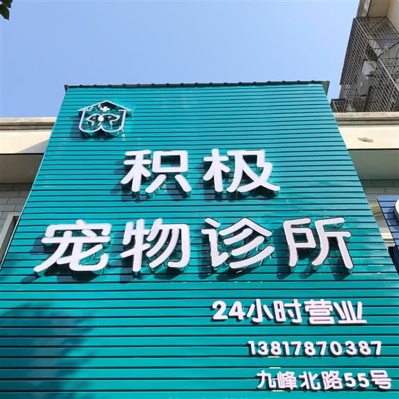积极宠物诊所:宁波市北仑区九峰小区附近