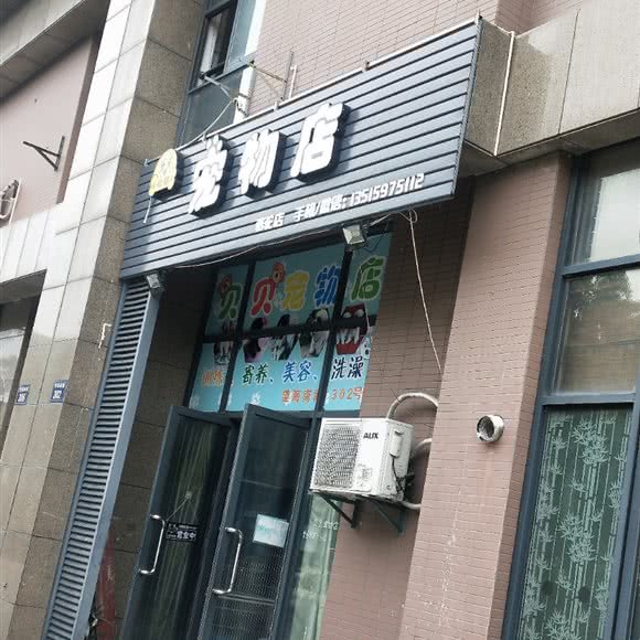 贝贝宠物店(骆驼店):宁波市镇海区镇海区附近