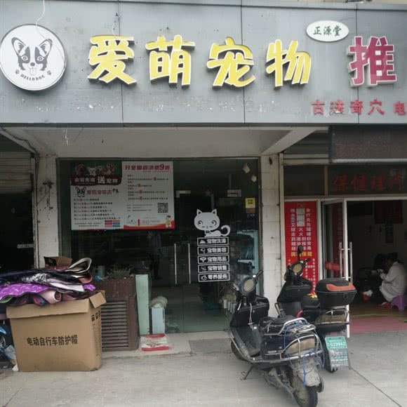 爱萌宠物:宁波市镇海区镇海区附近