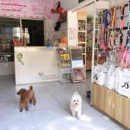 宠乐缘狗狗馆:宁波市镇海区镇海区附近