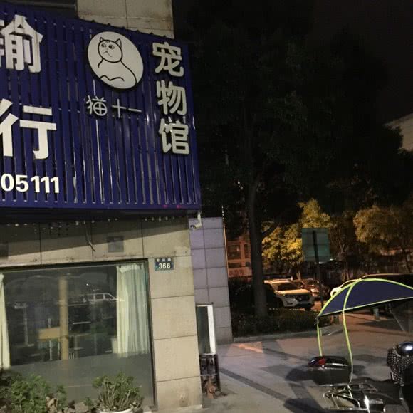 猫十一宠物馆:宁波市镇海区镇海区附近