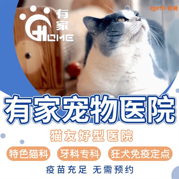 有家宠物医院·猫友好医院·牙科专科·狂犬定点:宁波市镇海区镇海区附近
