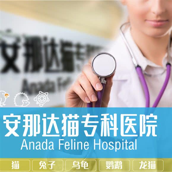 安那达猫专科宠物医院:宁波市镇海区镇海区附近