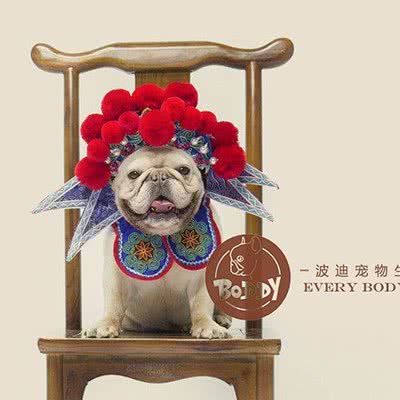 波迪宠物(鄞州万达店):宁波市鄞州区鄞州万达广场附近