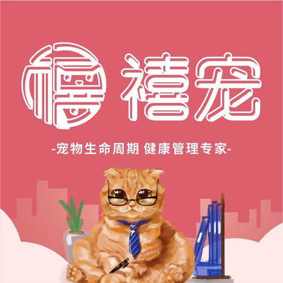 禧宠:宁波市鄞州区鄞州万达广场附近