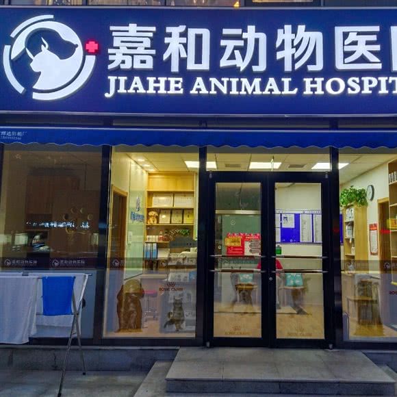 嘉和动物医院:北京城区昌平区回龙观附近