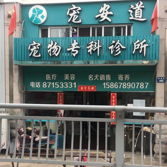 宠安道宠物专科诊所:宁波市鄞州区体育中心附近