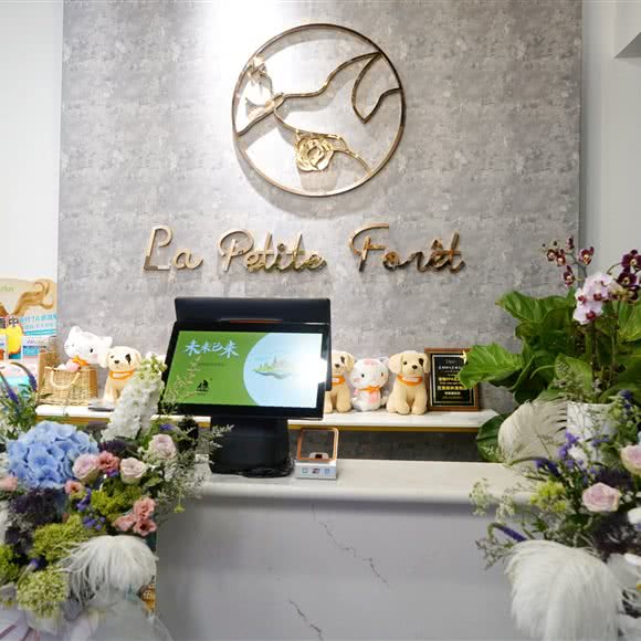 La Petite Foret觅宠森林:北京城区朝阳区望京附近