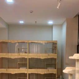 四喜猫舍:宁波市鄞州区鄞州高教园区附近