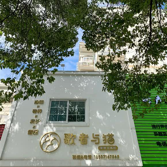 歌者与猫·猫舍:宁波市鄞州区鄞州高教园区附近