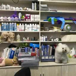 宠物门诊:宁波市鄞州区鄞州高教园区附近