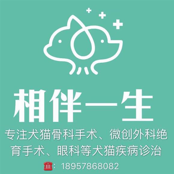 相伴一生宠物诊所:宁波市鄞州区高新区附近