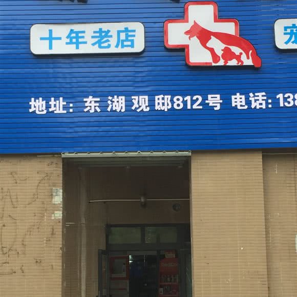 扬扬宠物:宁波市鄞州区东钱湖附近