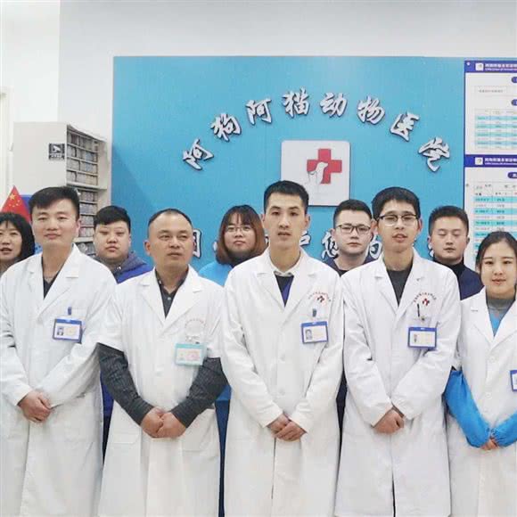 阿狗阿猫动物医院(东钱湖分院):宁波市鄞州区东钱湖附近