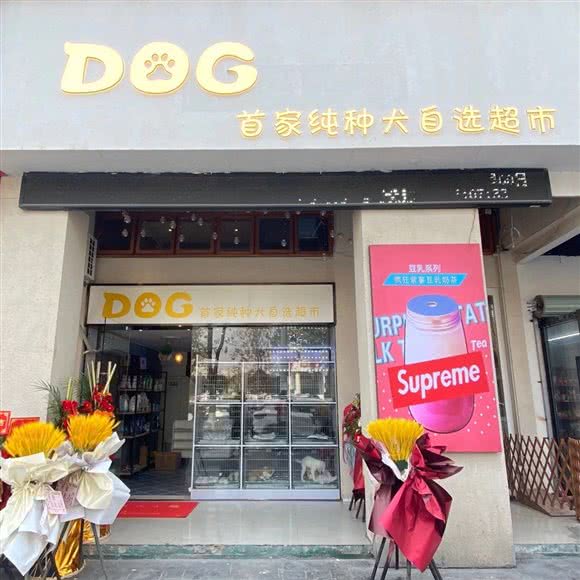 DOG宠物超市:宁波市鄞州区明州里/联盛广场附近