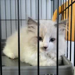 甜心萌宠生活馆:宁波市鄞州区兴宁路附近