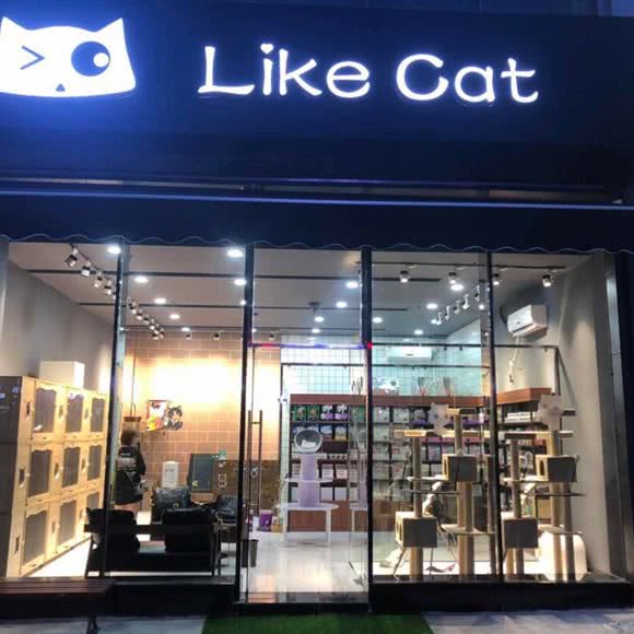 Like  cat:宁波市鄞州区兴宁路附近