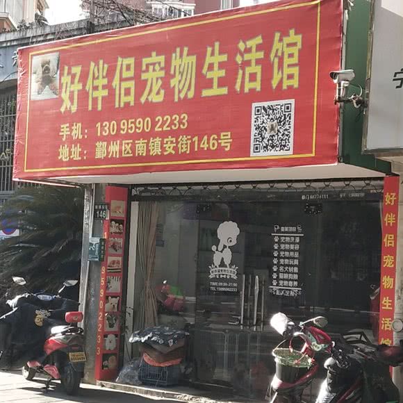 好伴侣狗狗生活馆:宁波市鄞州区兴宁时代广场附近