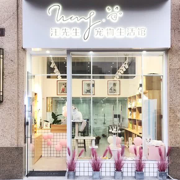 汪先生宠物生活馆:宁波市鄞州区印象城附近