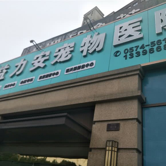 益力安宠物医院转诊中心CT核磁血透中心:宁波市鄞州区印象城附近