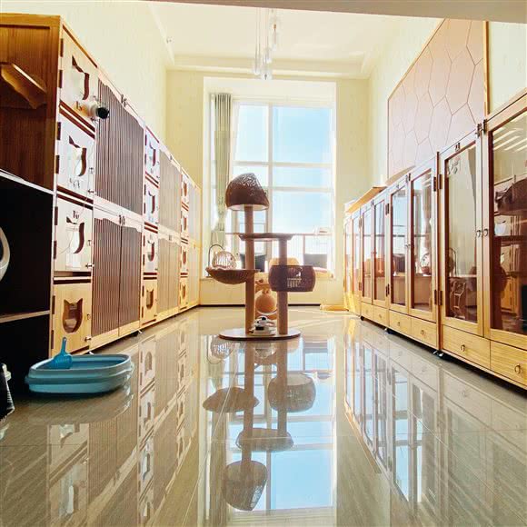 皮蛋的猫旅社:宁波市鄞州区东部新城附近