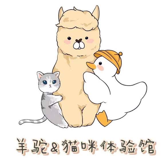 羊驼猫咪体验馆:宁波市鄞州区东部新城附近