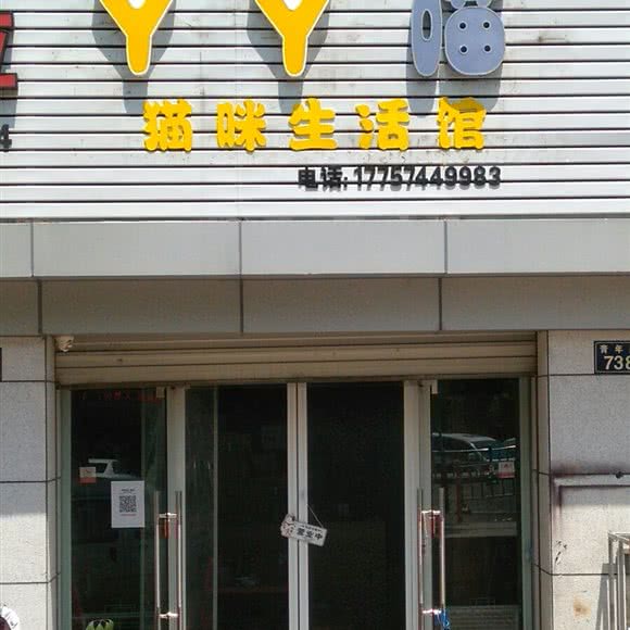 YY喵猫咪生活馆:宁波市鄞州区东部新城附近
