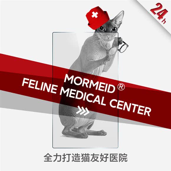 莫尔梅德猫科诊疗中心:宁波市鄞州区东部新城附近