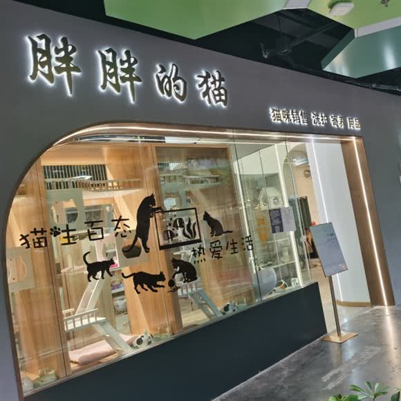 胖胖的猫:宁波市鄞州区舟宿夜江附近