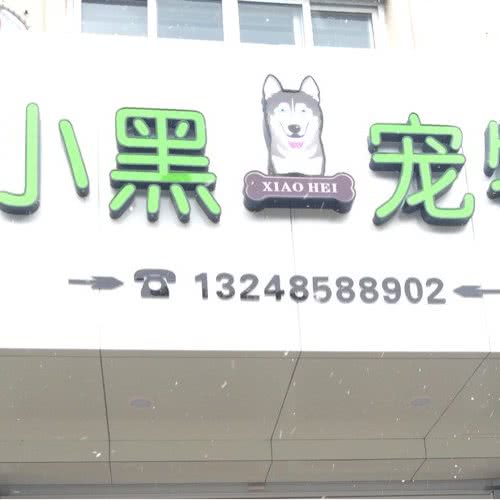 小黑宠物:宁波市奉化区锦屏街道附近