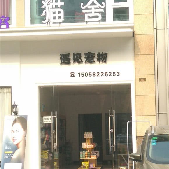 猫舍  遇见宠物:宁波市奉化区锦屏街道附近