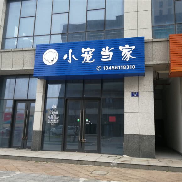 小宠当家:宁波市象山县丹西街道附近