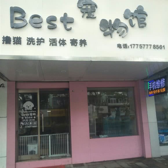 Best宠物馆:宁波市象山县丹西街道附近