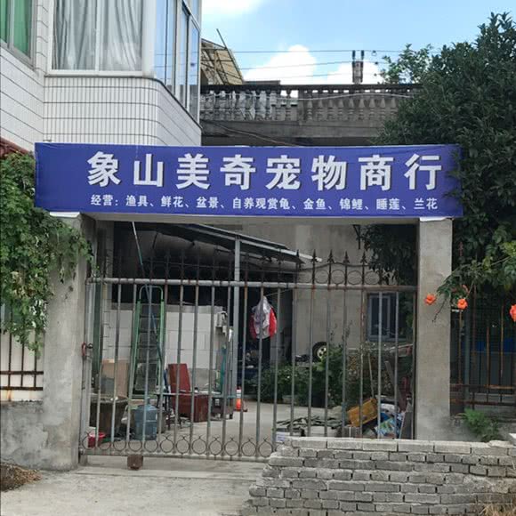 象山美奇宠物商行:宁波市象山县丹东街道附近