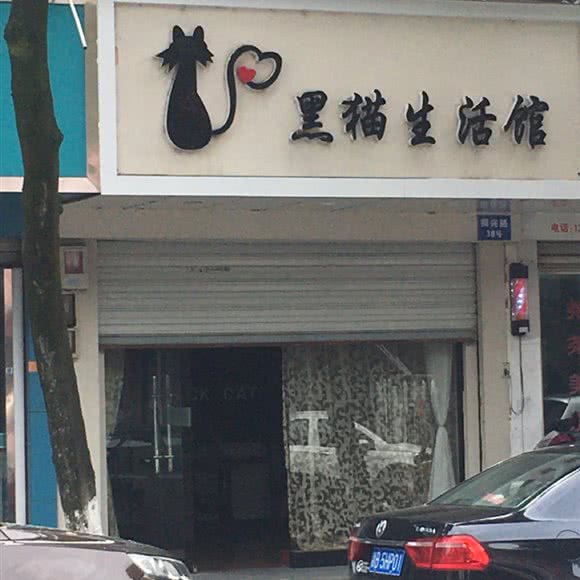 黑猫生活馆:宁波市余姚市泗门镇附近