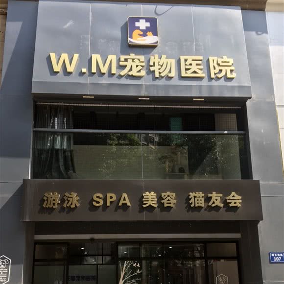 W.M宠物医院:宁波市余姚市阳明街道附近