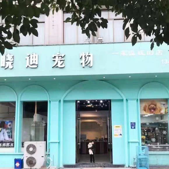 晓迪宠物:宁波市慈溪市观海卫镇附近