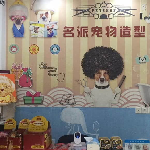 名派宠物造型:宁波市慈溪市观海卫镇附近