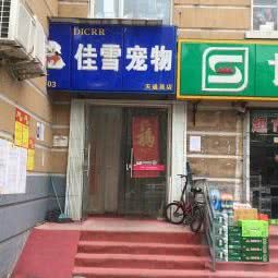 佳雪宠物:北京城区昌平区天通苑附近