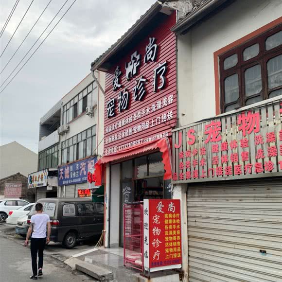 爱尚宠物诊所(观海卫店):宁波市慈溪市观海卫镇附近