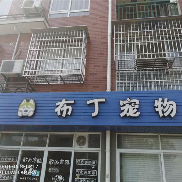 布丁宠物:宁波市慈溪市掌起镇附近