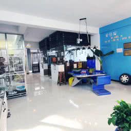 爱雪貂安哥辛宠物貂专卖店:北京城区昌平区天通苑附近