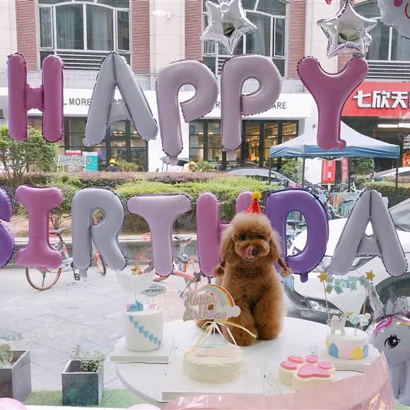 BABYDOG宝贝狗宠物乐园(欧洲城店):温州市鹿城区欧洲城附近