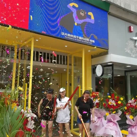 宠物互动体验馆:温州市鹿城区欧洲城附近