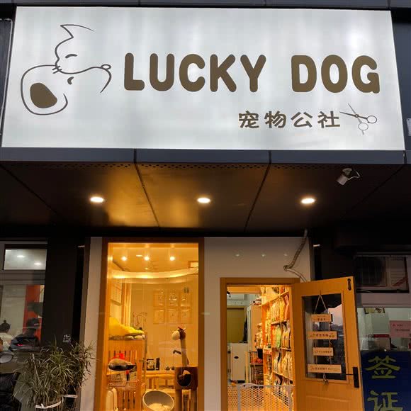 LUCKY DOG宠物公社(鹿城店):温州市鹿城区下吕浦附近
