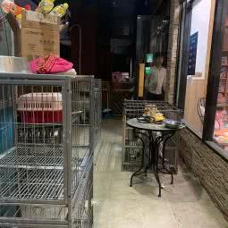 Dog Life:温州市鹿城区锦绣路附近