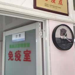 爱心宠物诊所(锦绣店):温州市鹿城区锦绣路附近