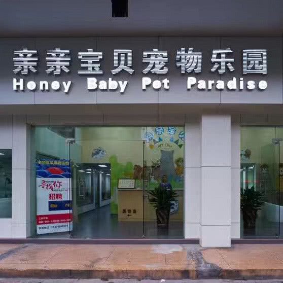 亲亲宝贝宠物医院:温州市鹿城区锦绣路附近