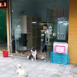 捣蛋鬼宠物店:温州市鹿城区马鞍池附近